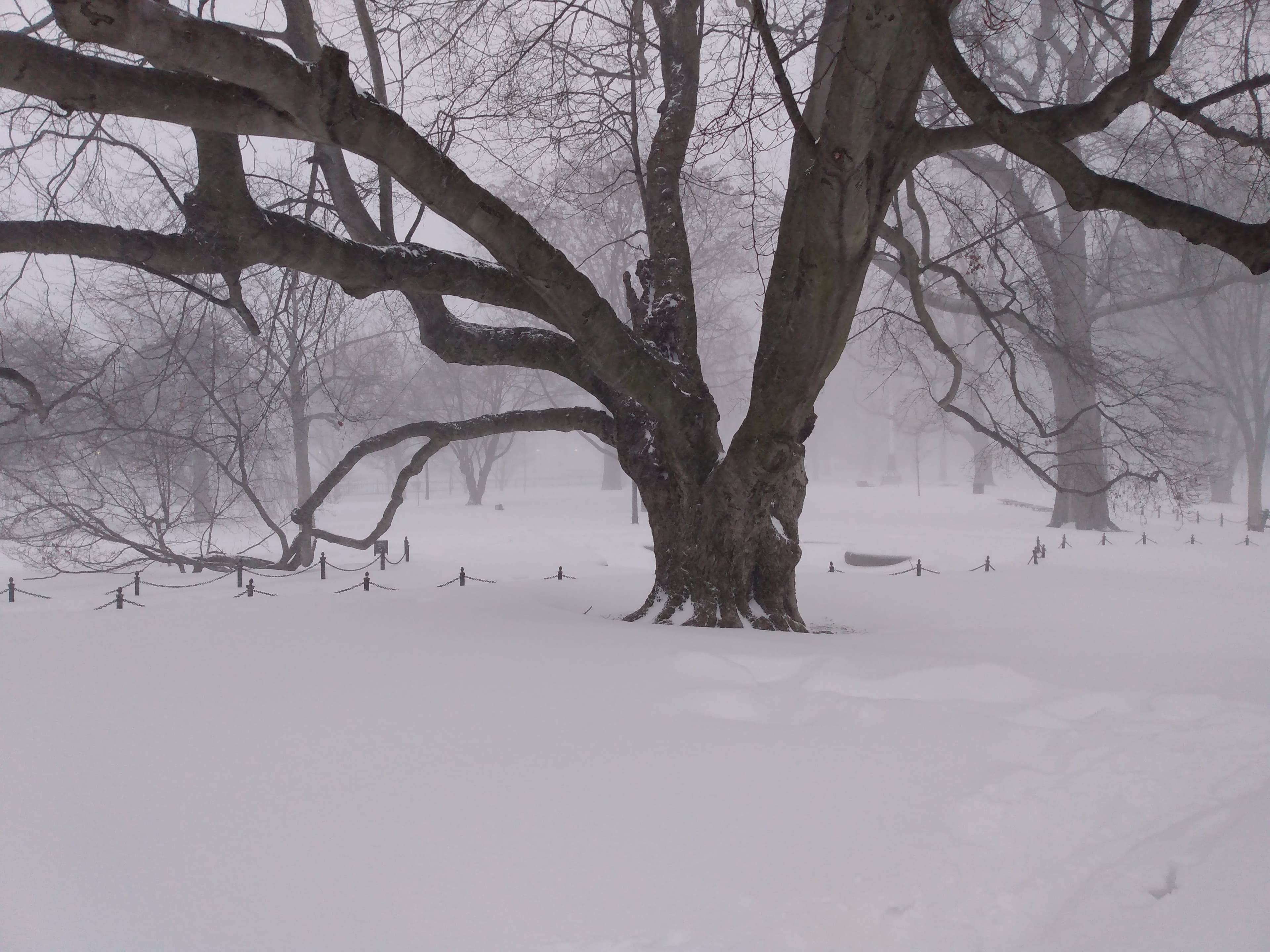 Cover Winetasting Winterweine